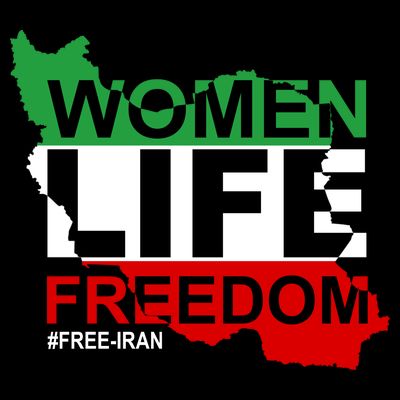 Women Life Freedom Free Iran T-Shirt