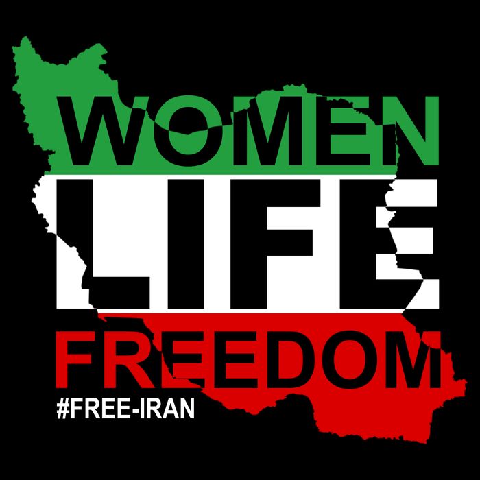 Women Life Freedom Free Iran Wool Snapback Cap