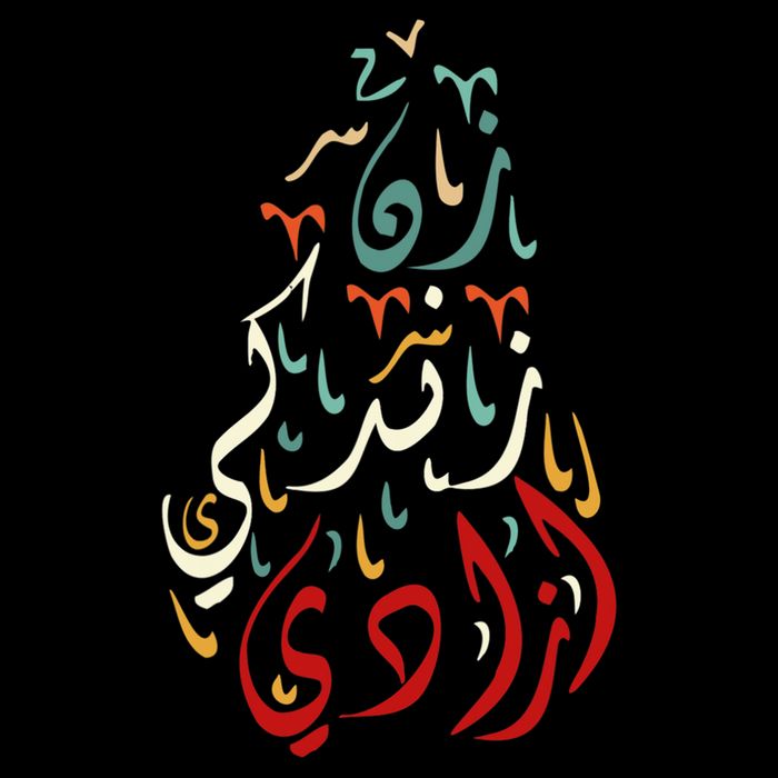 Wo Life Freedom Farsi Calligraphy Zan Zendegi Azadi Flag Gift Cooling Performance Crew T-Shirt