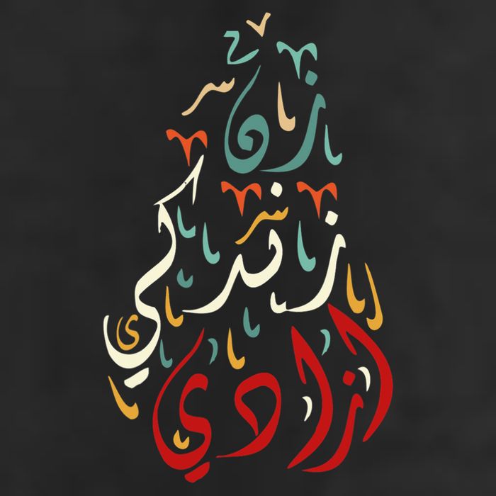 Wo Life Freedom Farsi Calligraphy Zan Zendegi Azadi Flag Gift Adult Drive Performance Visor