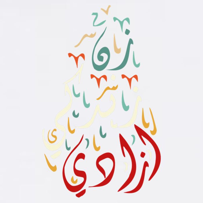 Wo Life Freedom Farsi Calligraphy Zan Zendegi Azadi Flag Gift Garment-Dyed Sweatshirt