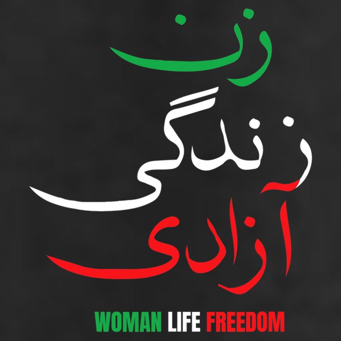 Woman Life Freedom Iran Zan Zendegi Azadi Persian Adult Drive Performance Visor