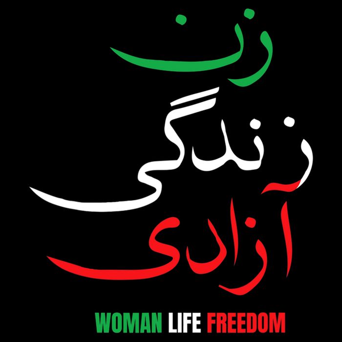 Woman Life Freedom Iran Zan Zendegi Azadi Persian Sustainable Beanie