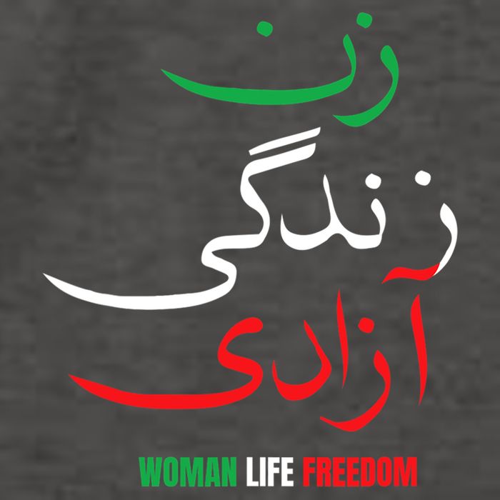 Woman Life Freedom Iran Zan Zendegi Azadi Persian Vector Backpack