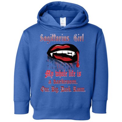 Whole Life Is A Darkroom Gothic Horoscope Sagittarius Gift Toddler Hoodie