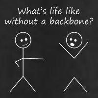 Whats Life Like Without A Backbone Funny Stickfigure 7 Panel Mesh Trucker Snapback Hat