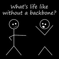 Whats Life Like Without A Backbone Funny Stickfigure Backpack