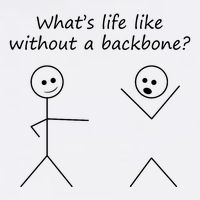 Whats Life Like Without A Backbone Funny Stickfigure Flatbill Hat