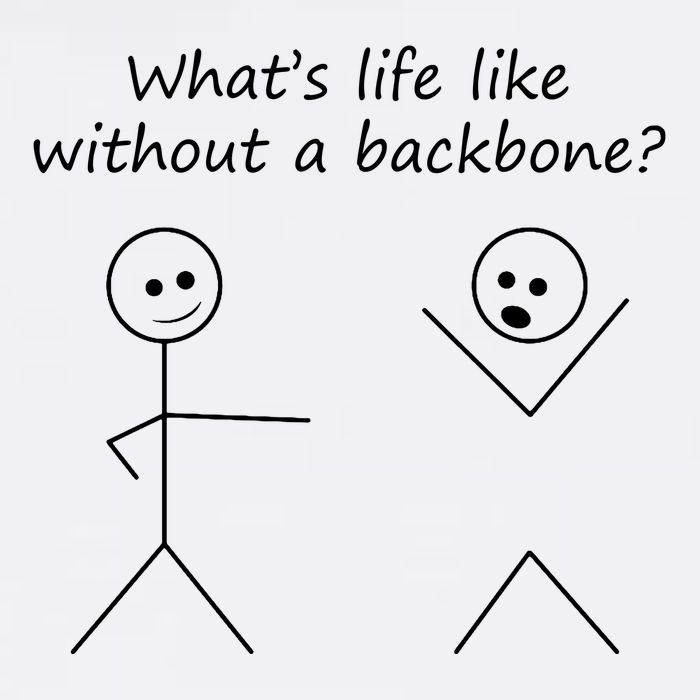 Whats Life Like Without A Backbone Funny Stickfigure Flatbill Hat