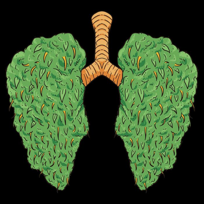 Weed Lung Marijuana Funny Button