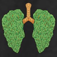 Weed Lung Marijuana Funny Golf Towel