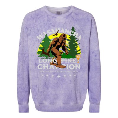 WASAHANCHA LONG PINE BIGFOOT CHAMPION Family Design Colorblast Crewneck Sweatshirt