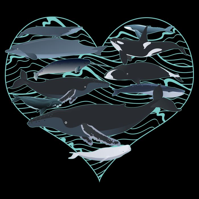 Whale Lover Save The Whales Wool Snapback Cap