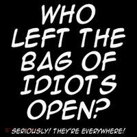 Who Left The Bag Of Idiots Open Seriously TheyRe Everywhere= Stripe Pom Pom Beanie