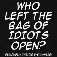 Who Left The Bag Of Idiots Open Seriously TheyRe Everywhere= Ladies PosiCharge Tri-Blend Wicking Tank