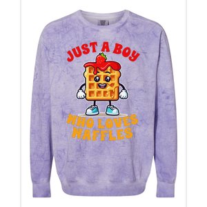 Waffle Lover Waffle Squad Foodie Just A Boy Loves Waffles Colorblast Crewneck Sweatshirt