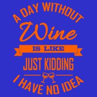 Wine Lover Wine Er A Day Without Wine Sommelier Cute Gift T-Shirt