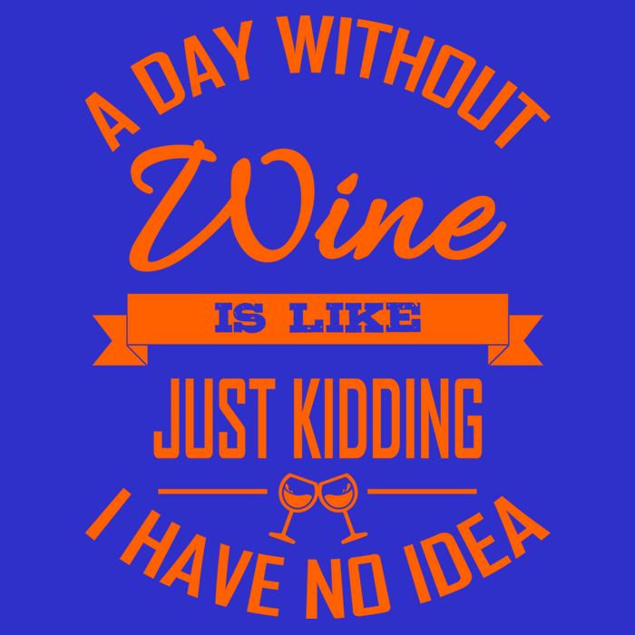 Wine Lover Wine Er A Day Without Wine Sommelier Cute Gift T-Shirt