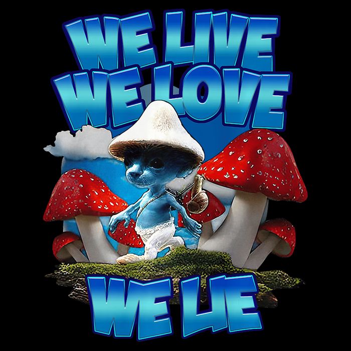 We Live We Love We Lie Funny Blue Mushroom Cat Trendy Meme 16 in Basic Backpack