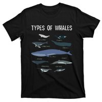 Whale Lover , Whale Lover Gift, Types Of Whales T-Shirt