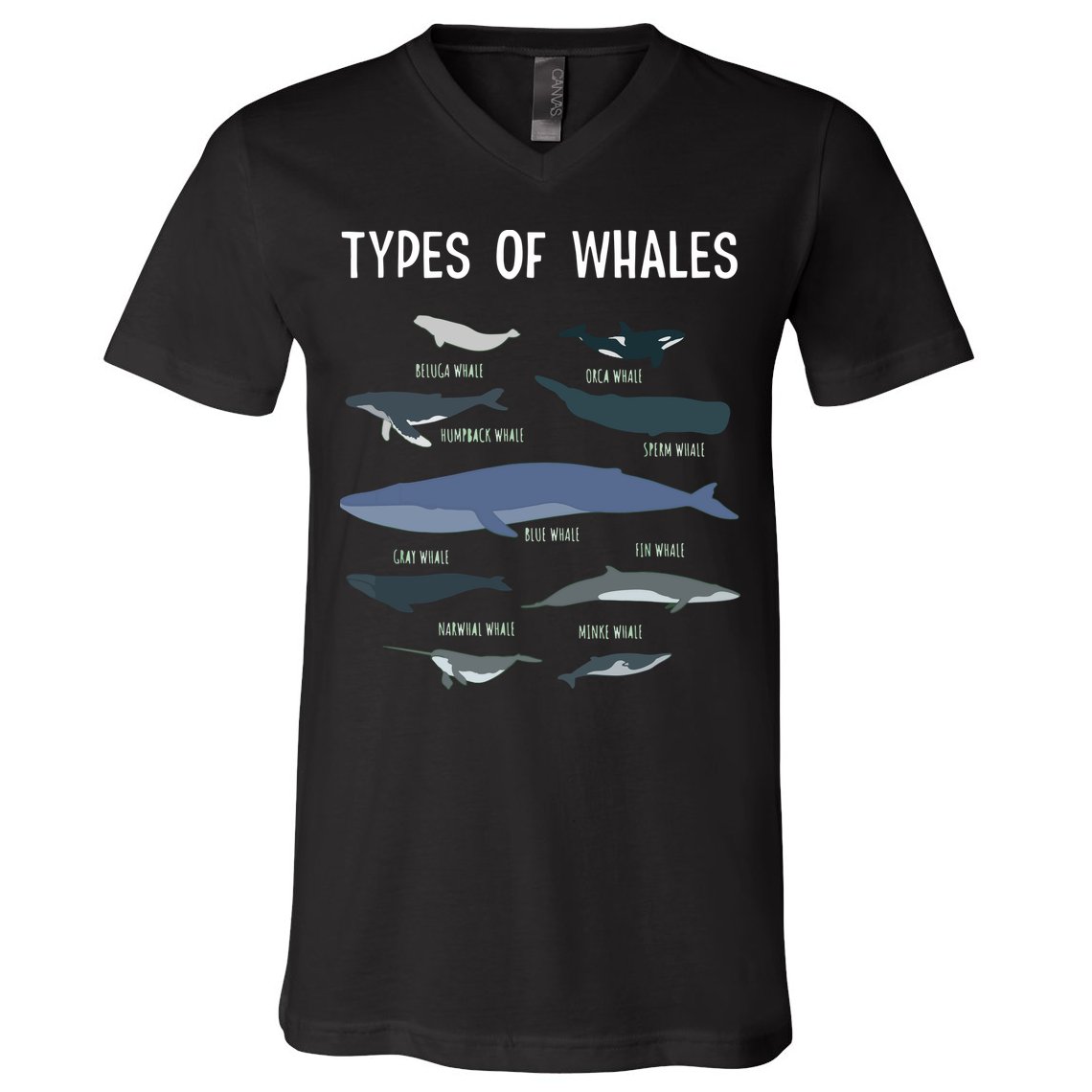 Whale Lover , Whale Lover Gift, Types Of Whales V-Neck T-Shirt