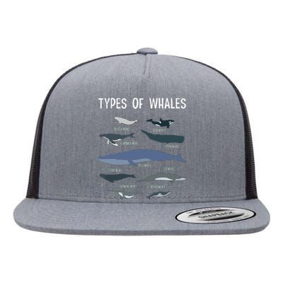 Whale Lover , Whale Lover Gift, Types Of Whales Flat Bill Trucker Hat