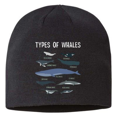 Whale Lover , Whale Lover Gift, Types Of Whales Sustainable Beanie