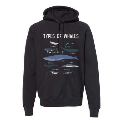 Whale Lover , Whale Lover Gift, Types Of Whales Premium Hoodie