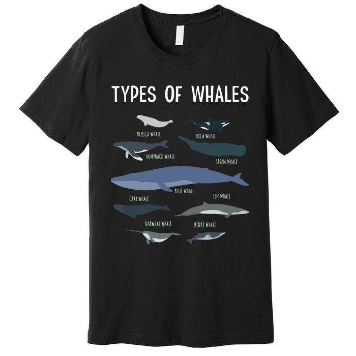 Whale Lover , Whale Lover Gift, Types Of Whales Premium T-Shirt