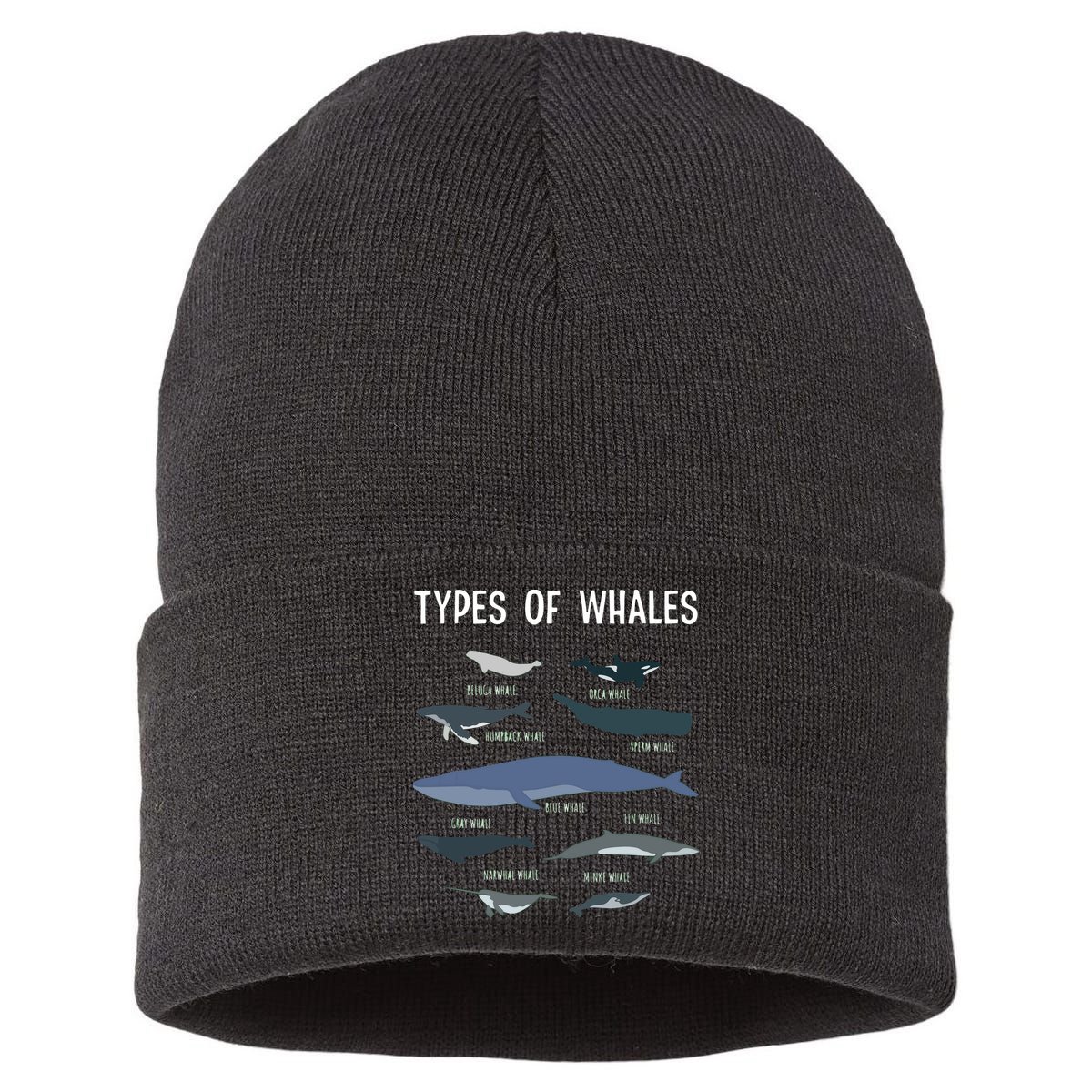 Whale Lover , Whale Lover Gift, Types Of Whales Sustainable Knit Beanie