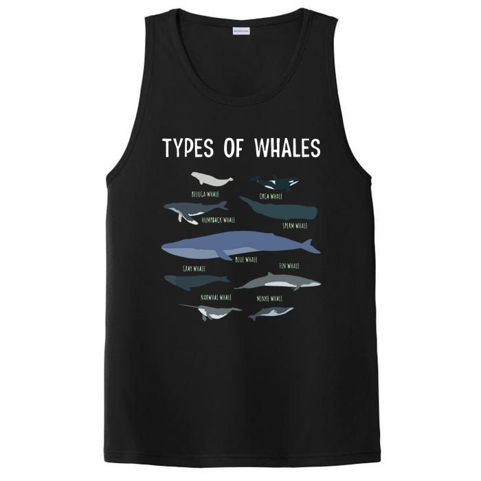 Whale Lover , Whale Lover Gift, Types Of Whales PosiCharge Competitor Tank