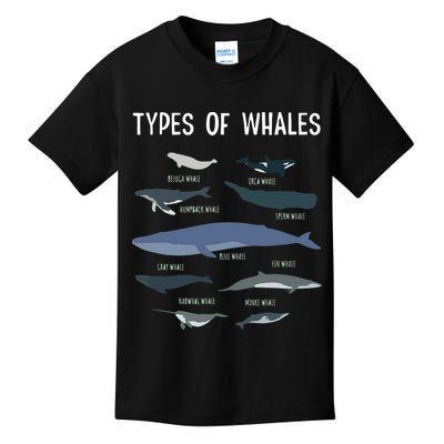 Whale Lover , Whale Lover Gift, Types Of Whales Kids T-Shirt