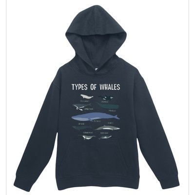 Whale Lover , Whale Lover Gift, Types Of Whales Urban Pullover Hoodie