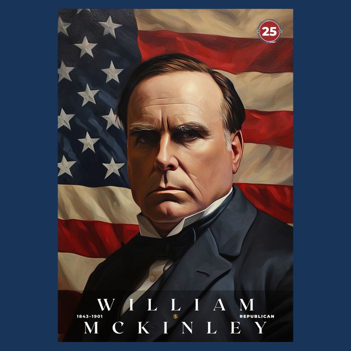 Wiliam Mckinley 25th President Of The United States Portrait Poster