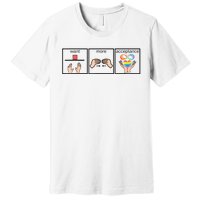 Want More Acceptance Sped Teacher Autism Awareness Premium T-Shirt