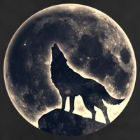 Wolf Moon Fantasy Wild Dog Wolves 11oz C Handle Ceramic Mug