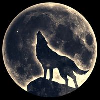Wolf Moon Fantasy Wild Dog Wolves 16 in Basic Backpack