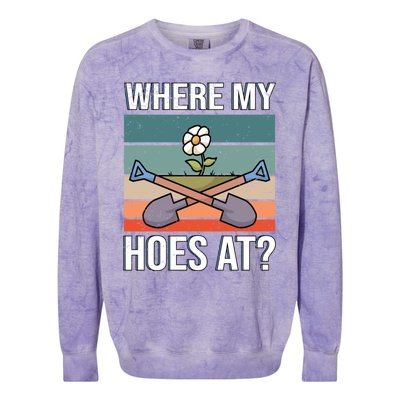 Where My Hoes At Gardening Funny Gardening Gift Colorblast Crewneck Sweatshirt