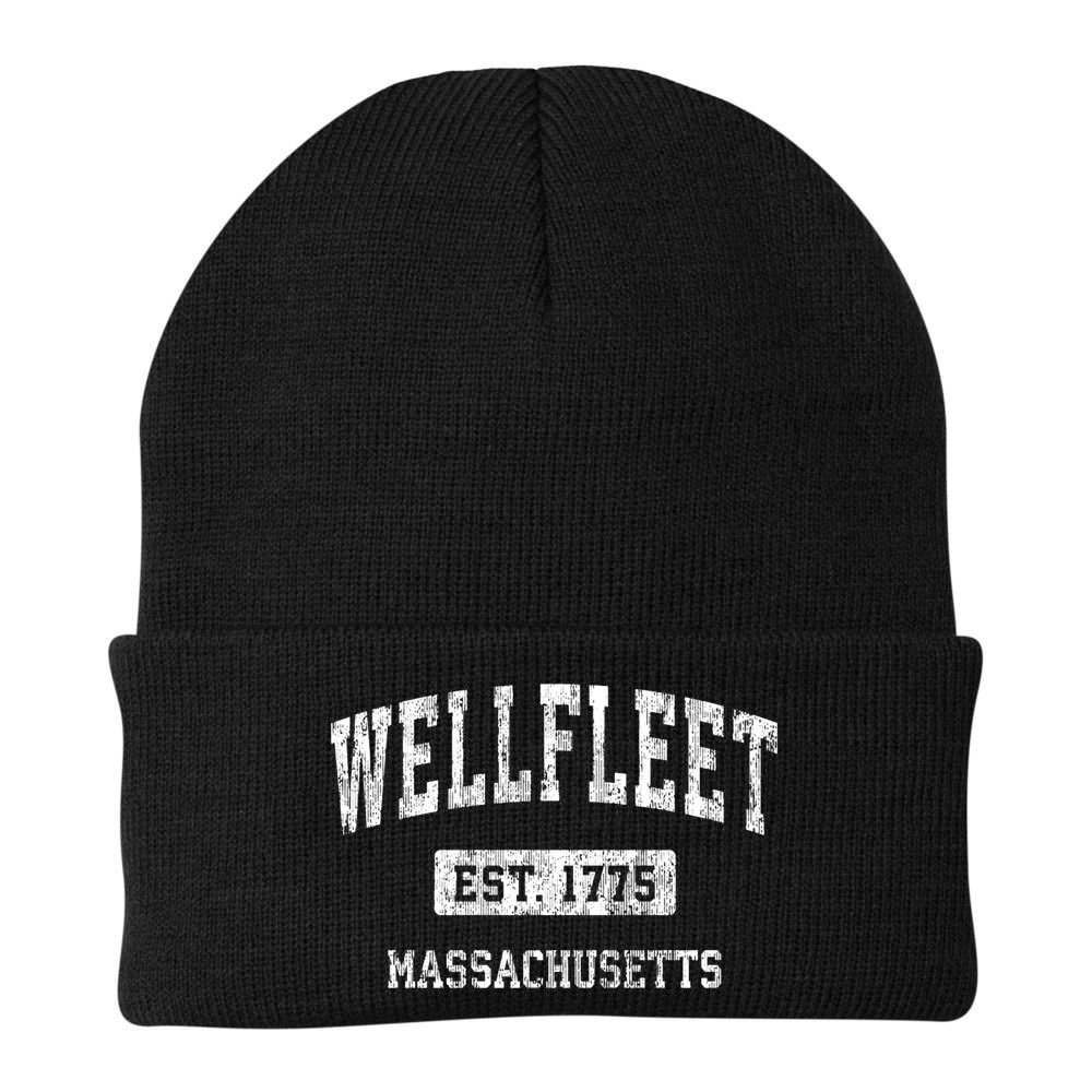 Wellfleet Massachusetts Ma Vintage Sports Established Beanie
