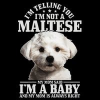 Womens Maltese Mom Said Im A Baby Funny Maltese Dog Drawstring Bag