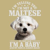 Womens Maltese Mom Said Im A Baby Funny Maltese Dog T-Shirt