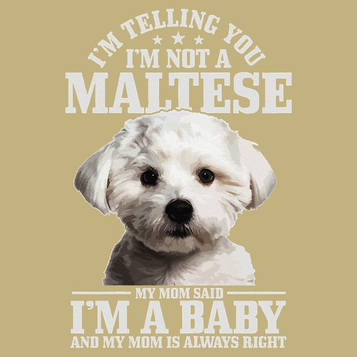Womens Maltese Mom Said Im A Baby Funny Maltese Dog T-Shirt