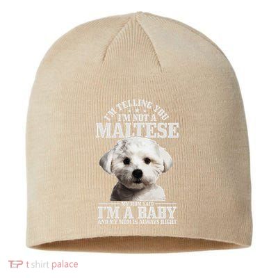 Womens Maltese Mom Said Im A Baby Funny Maltese Dog Sustainable Beanie