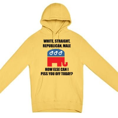 White Male Straight Republican | Funny Republican Gifts Premium Pullover Hoodie