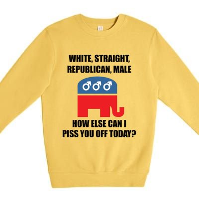 White Male Straight Republican | Funny Republican Gifts Premium Crewneck Sweatshirt