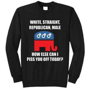 White Male Straight Republican | Funny Republican Gifts Sweatshirt