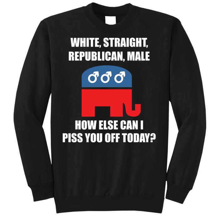 White Male Straight Republican | Funny Republican Gifts Sweatshirt