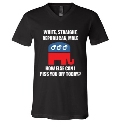 White Male Straight Republican | Funny Republican Gifts V-Neck T-Shirt