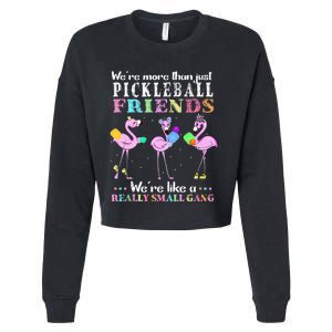 Were More Than Just Pickleball Friends Funny Flamingo Sport Cropped Pullover Crew