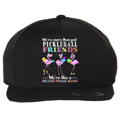 WeRe More Than Just Pickleball Friends Flamingo Wool Snapback Cap